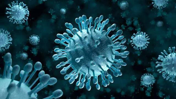 显微镜下的“西尼罗河病毒”